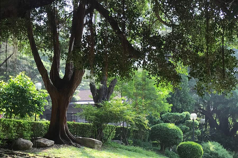 花崗岩水槽